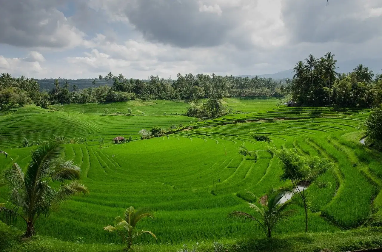 loco por indonesia